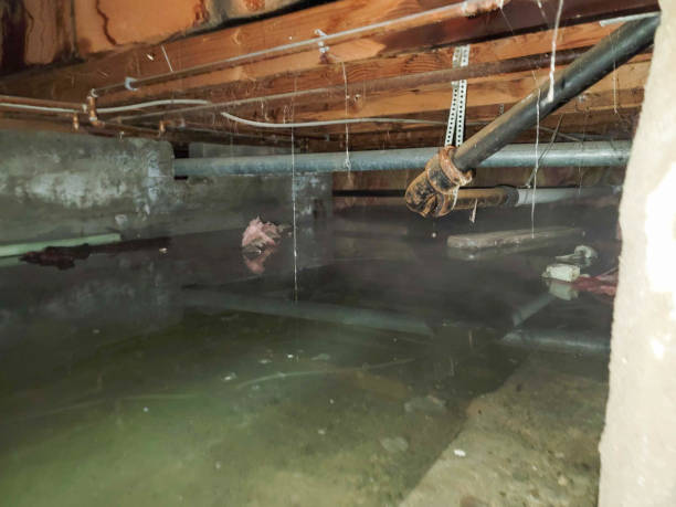 Best Water damage restoration specialists  in Yakima, WA