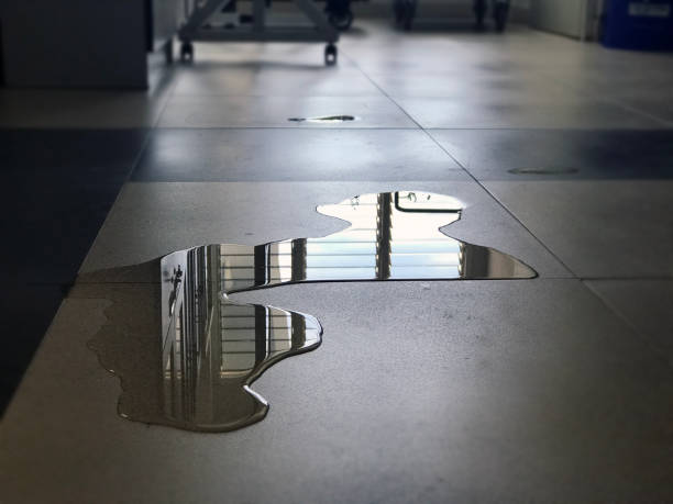 Best Basement water damage restoration  in Yakima, WA