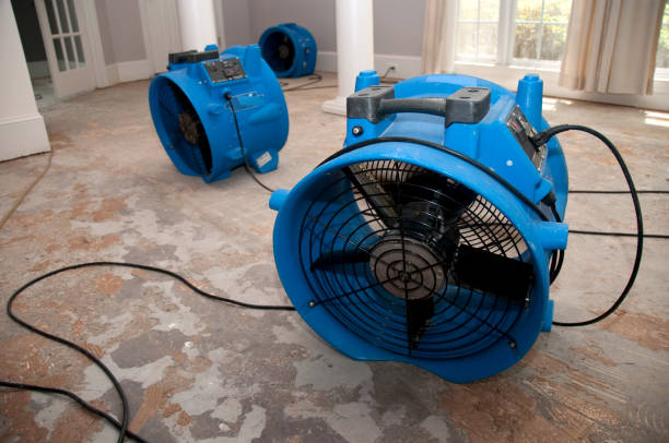 Best Basement water damage restoration  in Yakima, WA