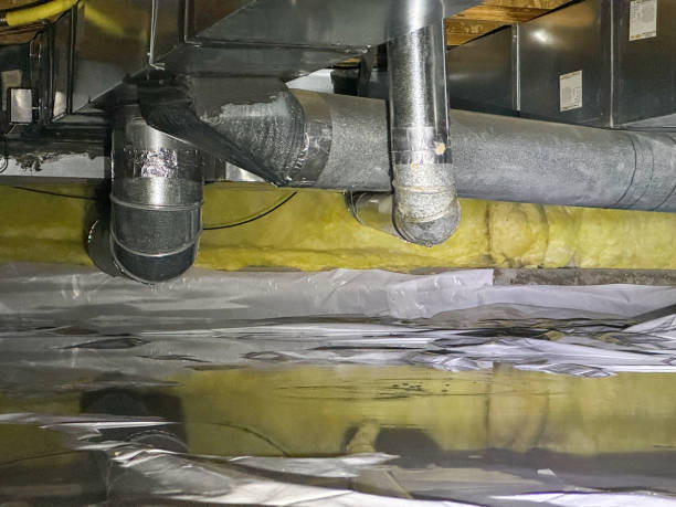 Water damage restoration mold remediation in WA
