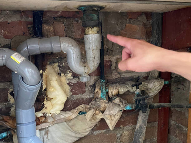 Best Water damage cleanup near me  in Yakima, WA