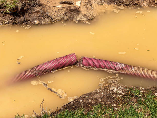 Best Water damage contractors near me  in Yakima, WA