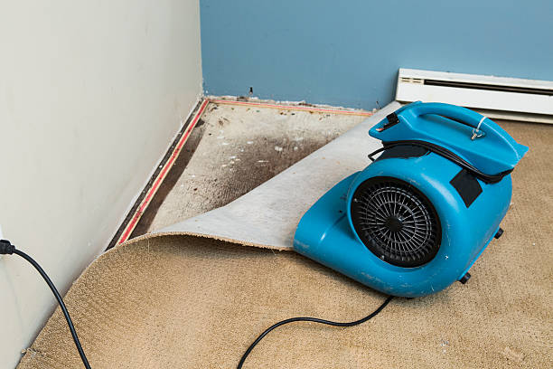 Best Water damage restoration near me  in Yakima, WA